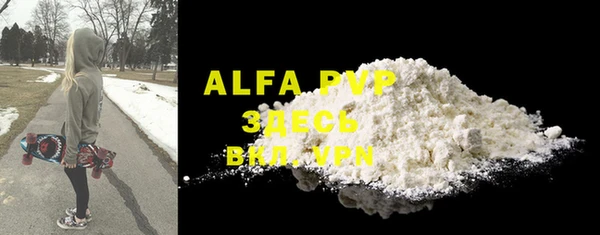 индика Алексин