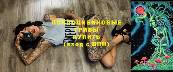 индика Алексин