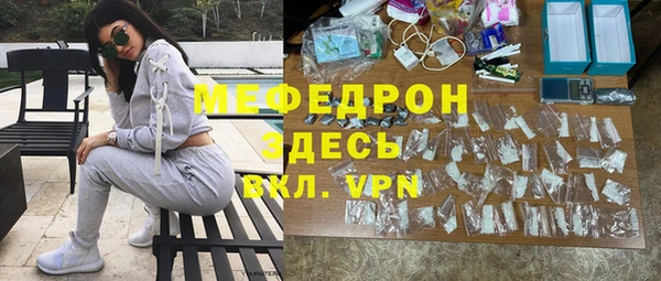 индика Алексин