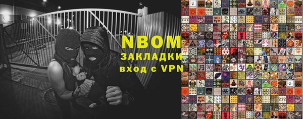 индика Алексин