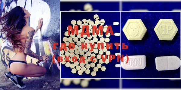 индика Алексин