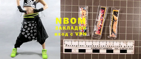 индика Алексин