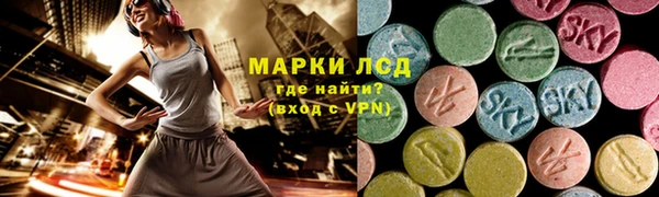 индика Алексин