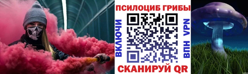 Галлюциногенные грибы мицелий  даркнет сайт  Спасск-Рязанский 
